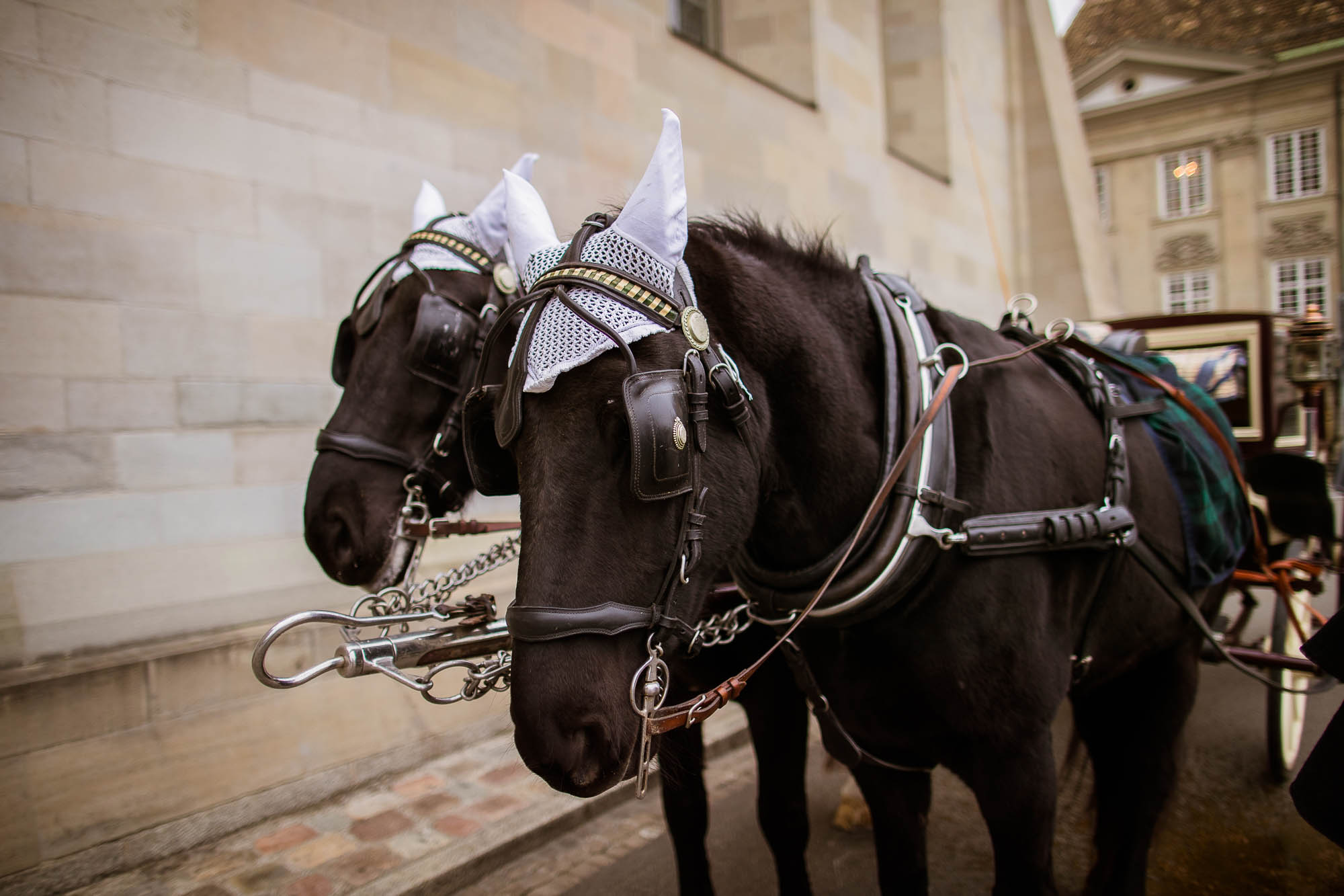 Export x3 1DX20803 Hochzeit 2020 Andrea & Joel